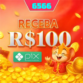 6566 Rebate
